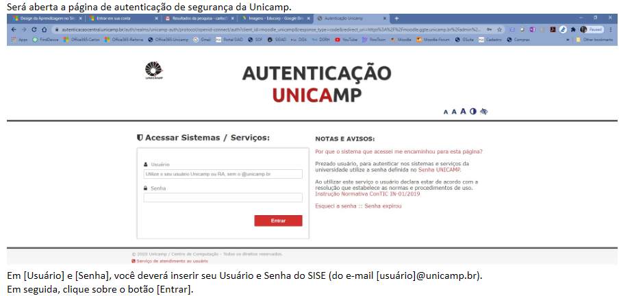 Tela de autenticação de login da Unicamp. Autenticação SiSe.