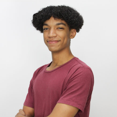 Brian Henrique Araujo Costa