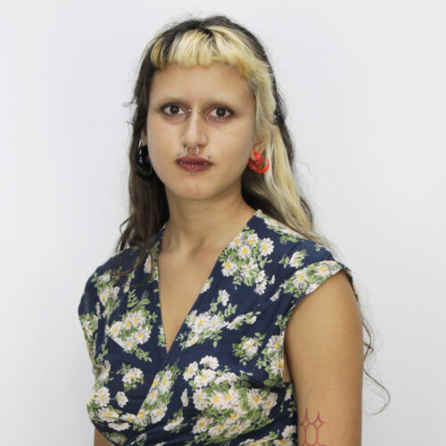 Helena Gomes De Camargo Neves